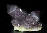 Cactus Amethyst Cluster - Top Quality Color #33621-1